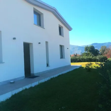 Modern House