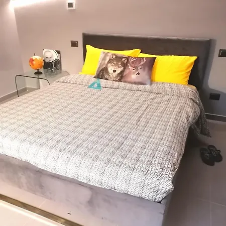 Modern House * كاباتشي